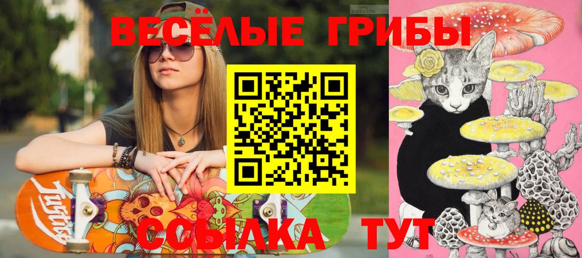 Псилоцибиновые грибы прущие грибы  Галлюциногенные грибы Psilocybe  Вход с VPN  Липецк 